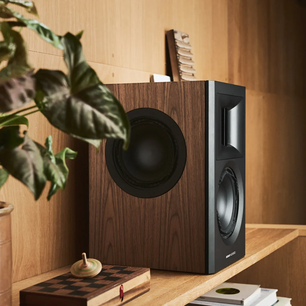 Radiant Acoustics Clarity 6.2 Loudspeaker Side Radiators