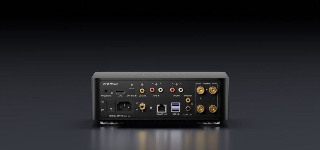Eversolo Play back panel inputs and outputs