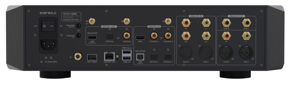 Eversolo DMP-A10 input and output ports