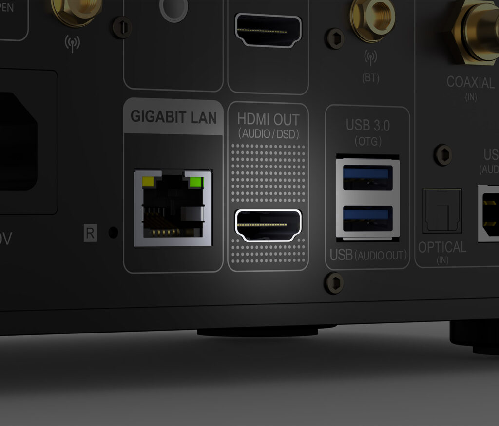 Eversolo DMP-A6 Gen 2 Streamer back panel ports